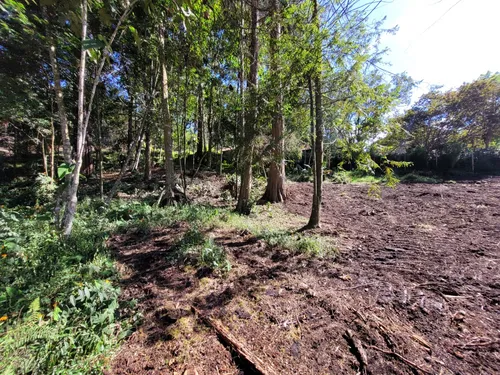 Lote En Venta, V. Llanogrande, Rionegro