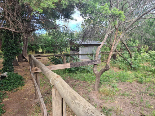 Venta De Quinta