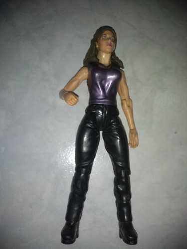 Wwe Diva Stephanie Mcmahon Rulers Of Rings Jakks Pacific