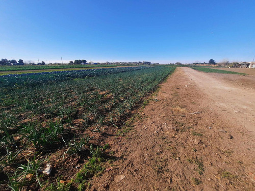 Venta - Campo - Villa Gobernador Gálvez, Rosario