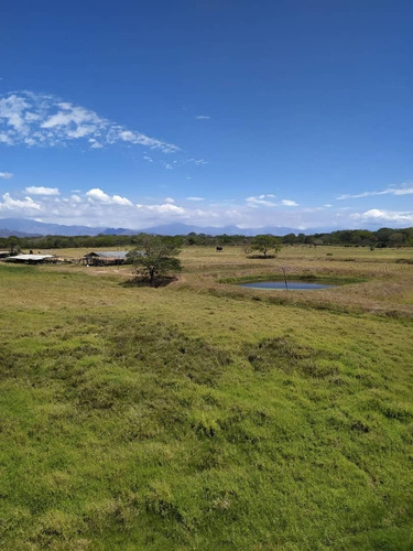 Imagen 4 de 24 de Venta Granja En La Ciudad Valencia Estado Carabobo