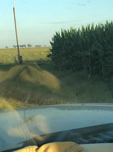 Imagen 8 de 8 de 932 Hectareas. ( A 30 Km Noetinger. Cba)
