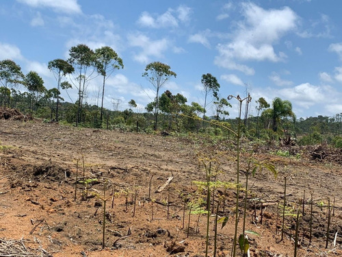 Imagem 4 de 12 de J09-venda De Lotes Em Mogi Das Cruzes R$60.000
