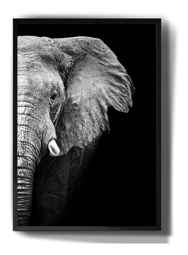Marco decorativo para Tumblr: elefante, animales, fondo negro, otro color