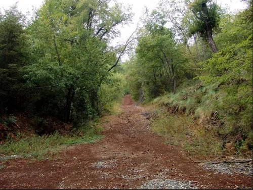 Complejo Turístico En Km 68.5 Camino A Las Termas De Chillán