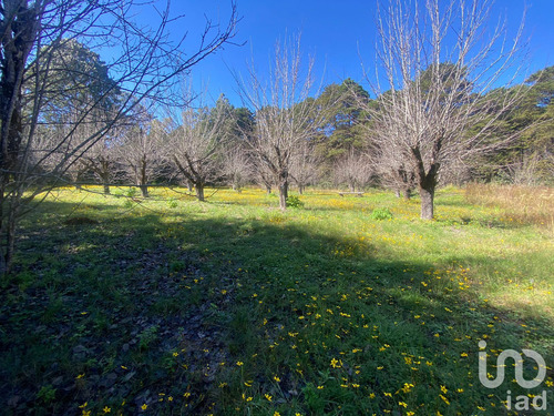 Venta Terreno 0 Ambiente Las Peras