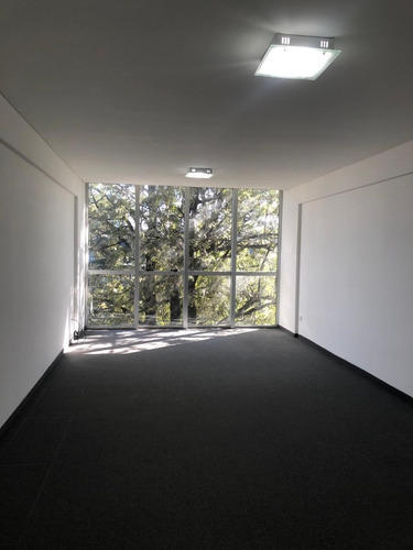 Excelente Oficina/consultorio A La Venta Calle Caamaño,pilar