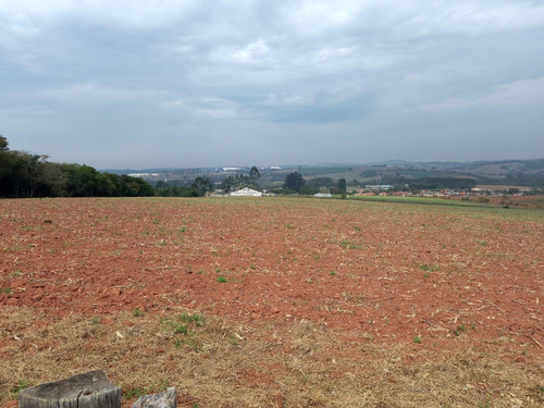 Imagem 6 de 12 de O05- Terreno 450m² Por Apenas R$15.000,00 Entrada