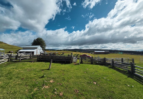 Se Vende Campo De 60 Hectáreas En El Sector Lago Pollux