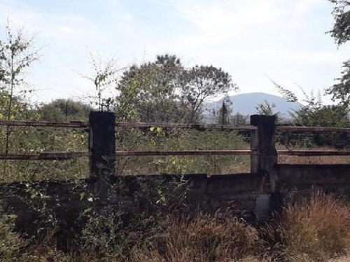 Imagen 14 de 23 de Venta De Terreno Puente De Ixtla Precio A Negociar, Con Titulo De Agua H