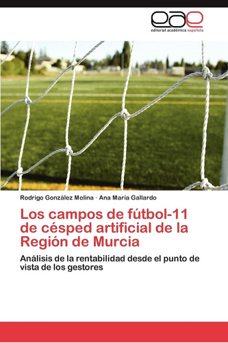 Libro: Los Campos De Fútbol-11 De Césped Artificial De La Re