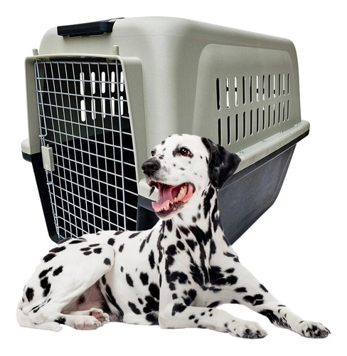 Caixa Plástica Transporte Viagens Cães Grandes Com Rodas Nº4
