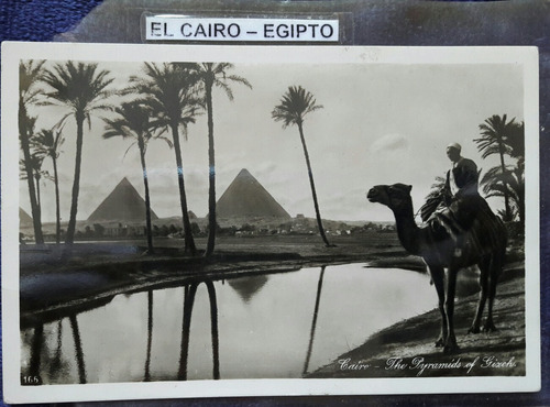 Antigua Postal De El Cairo Egipto 