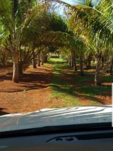 Sítio À Venda Em Cajuru/sp - St00117 - 69024431