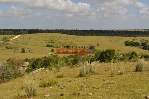 Imagen 11 de 30 de Venta Campo Ubicado En Garzón