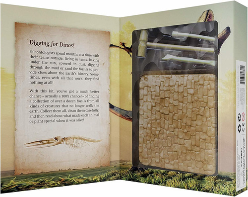 Mega Kit Fossil Dig - Dig Up 15 Auténticos Fósiles (huesos D