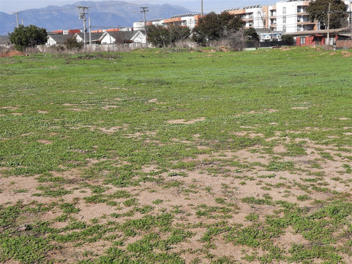 Sitio Comercial En Venta En Limache