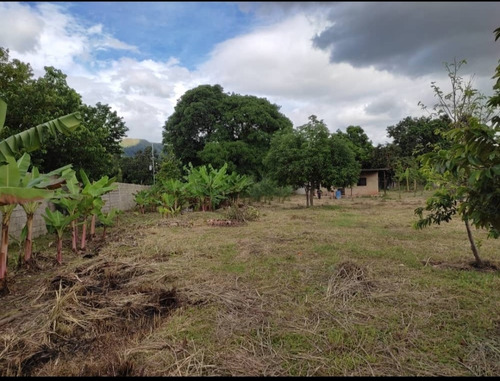 Imagen 5 de 9 de En Venta Terreno En Macomaco San Diego