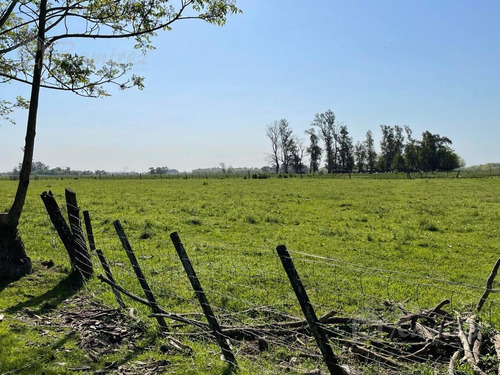 Imagen 6 de 15 de Campo En Venta - General Rodríguez