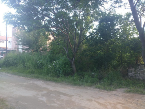 Imagen 4 de 6 de Lote Con Bajada Al Rio