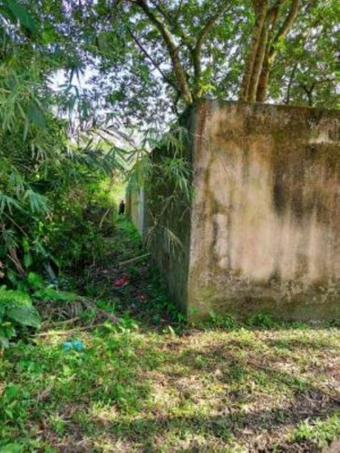 Imagem 4 de 5 de Terreno Com 1000m² A Venda Em Itanhaem - Tropical