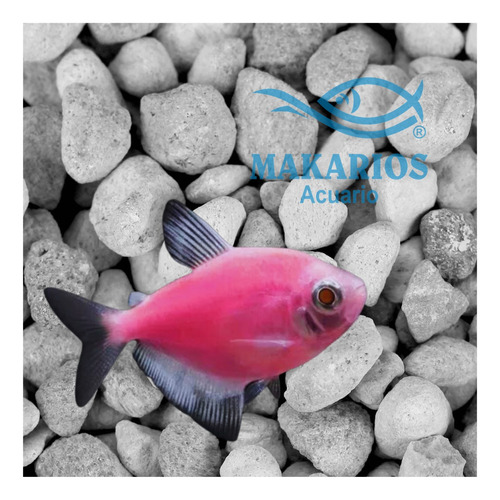 Imagen 3 de 6 de Matrix 500 Ml Seachem Material Filtrante Acuario Pecera