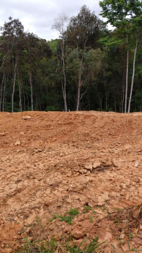 Imagem 15 de 15 de Terreno Em Condomínio Para Venda Em Curitiba, Santa Cândida - 336_2-1090131