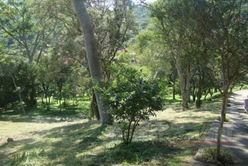 Imagem 1 de 6 de Terreno Córrego Grande - V-226