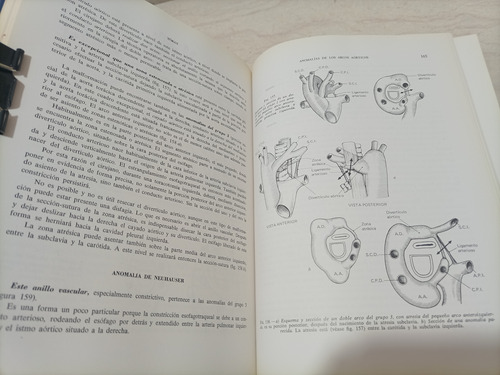 Técnicas De Cirugía Pediátrica. Toray Masson