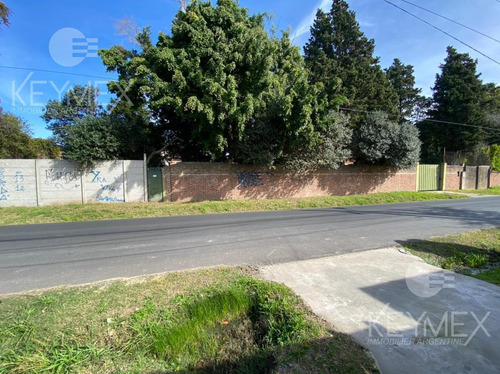 Imagen 2 de 22 de Galpón - Berazategui