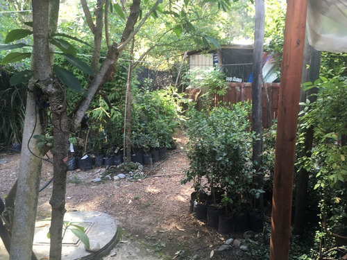 Imagen 29 de 30 de Casa + Vivero En Balneario Argentino
