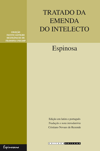 Tratado Da Emenda Do Intelecto