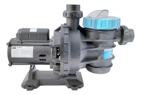 Motobomba De Piscinas Até 226 Mil Litros 2,0 Cv Motor Weg 110v/220v