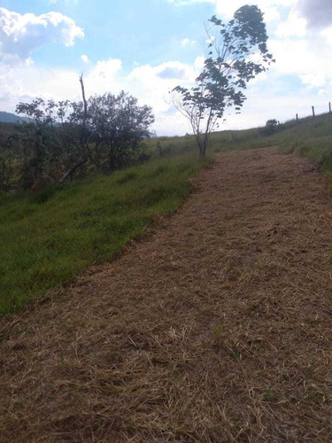 Imagem 10 de 14 de A28 -lotes Para Construção De Chácaras