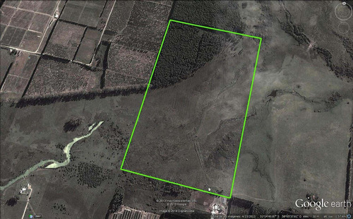 Imagen 16 de 16 de Campo De 49 Has. En La Criolla