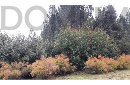 Imagen 11 de 14 de Lote De 1500 M2 Con Fondo Al Campo De Golf