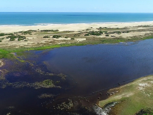Venta Campo Sobre Laguna De Rocha 9651 (ref: Cbr-1199)