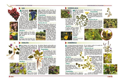 Libro Las Hierbas Aromáticas - Saborizantes Y Saludables