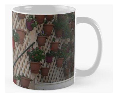 Taza Macetas Montenegro Calidad Premium