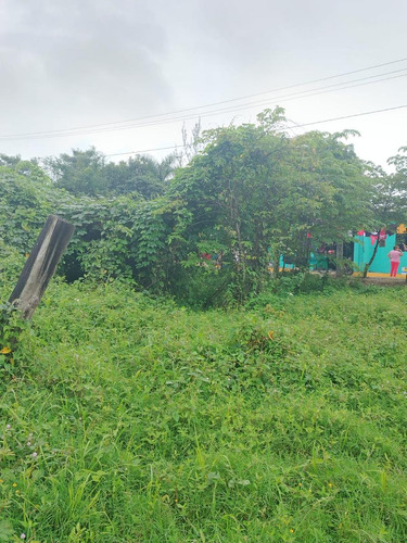 Venta De Terreno Excelente Ubicacion En San Bartolo Tuxtepec Oaxaca