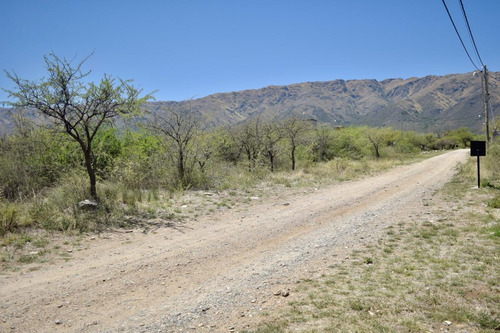 Imagen 6 de 11 de Lotes De 1000m2 En Carpinteria