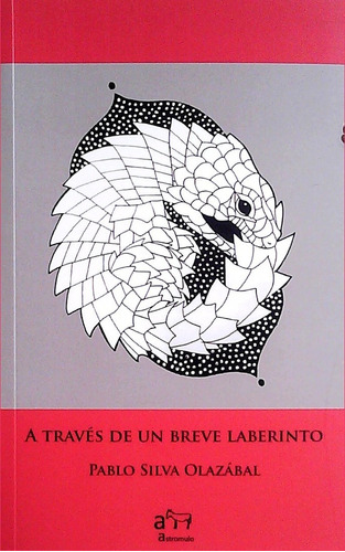 A Través De Un Breve Laberinto, De Pablo Silva Olazábal. Editorial Astromulo, Tapa Blanda, Edición 1 En Español