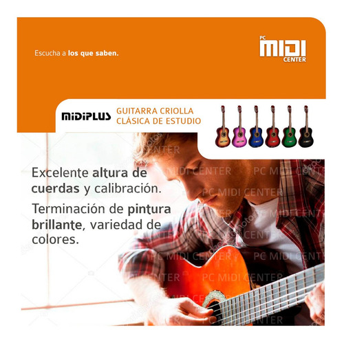 Guitarra Criolla Clasica Con Funda Y Puas Varios Colores