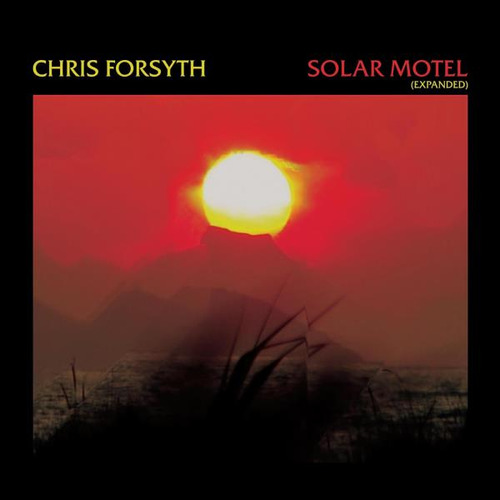 Forsyth Chris Solar Motel Usa Import Lp Vinilo X 2