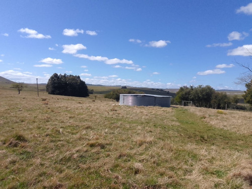 Imagen 10 de 10 de 353 Hectáreas En Lavalleja, Con Casa, Galpón Y Arroyo