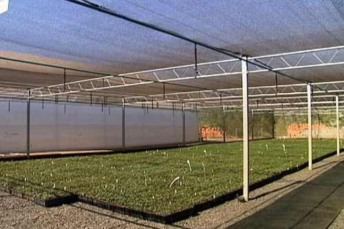 Tela Sombrite Preto 50% 2x10m E Brinde