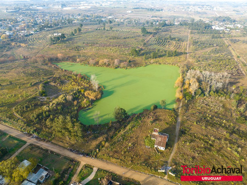 Venta Magnífico Terreno Para Urbanización En Zona De Barrios