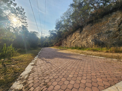 Venta Lote Gladiola 26 En Calle Privada Con Bonitas Vistas, Proyecto Incluído Y Con Todos Los Servicios En Fraccionamiento Rancho San Diego Ixtapan De La Sal Edomex