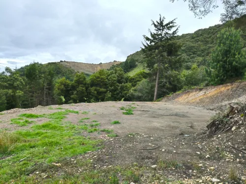 Proyecto Campestre