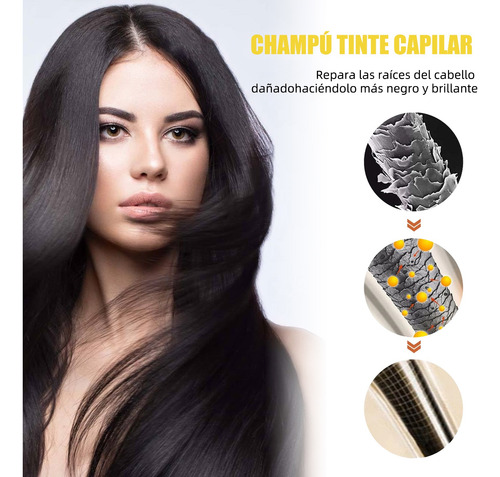 Shampoo Con Tinte Cubre Canas Natural Jengibre -negro100ml*2